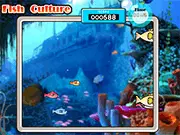 Fish Culture game screen showing a small player fish swimming among several larger, aggressive-looking cartoon fish in a coral reef setting