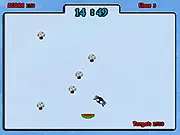 Play Hungry Spider Flash free online, fun skill game, spider eating fruit and avoiding mushrooms