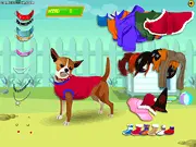 Dress My Pet online game featuring a dog wearing a hat and sunglasses | Free animal fashion game