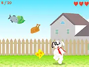Screenshot of the free online arcade game Feed the Dog, showing chicken and other objects falling, aiming to guide food to the hungry dog character