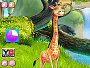Play Giraffe Medical Care free online animal doctor and nursing game