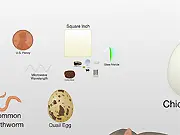 Scale of Universe 2 free online educational game interactive zoom sizes of objects in the universe