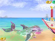 Cute baby dolphin being cared for by a veterinarian with medical tools in the free online animal care game Baby Dolphin Care