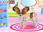 Free online game Papillon Puppy Care, a fluffy dog receiving grooming and fashion makeover