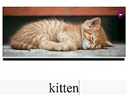 Galactic Standard 8: Domestic Animals Quiz Online game screenshot, showing a question about farm animals and spaceship console.