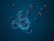 Screenshot of Bubble Catch game with a cluster of colored bubbles and a red bubble about to be placed to start a chain reaction