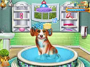 Pretty Puppy Care free online game featuring a cute dog being bathed and dressed up