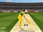 Master Blaster Cricket Online free batting challenge game on PlayArcadeHub