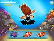 The Shadow Fishing free online puzzle game where players match fish shapes to shadow outlines