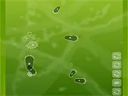 Play Microbe Kombat free online evolution game, eating smaller microbes to grow and divide