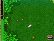 Play The Dog and the Mushrooms free online arcade game helping a dog collect mushrooms