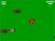 Gameplay screenshot of the free online action game The Lady Bug, showing a red ladybug navigating through a crowded screen of enemy insects.
