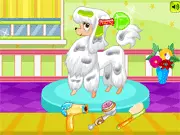 Poodle Hair Salon free online dress-up and makeover game screenshot