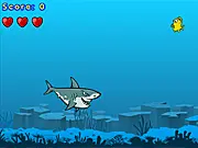 Snappy Shark arcade game online, shark swimming and catching fish, free tap-to-swim game
