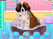 Play St. Bernard Puppy Daycare free online animal care and dress up game