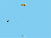 Lets Jump free online physics shooter arcade game falling and using recoil to shoot flying creatures