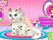 Play Kitty Care and Grooming online game for free on PlayArcadeHub
