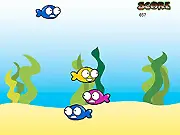 Super Fishy free online game, eat small fish to grow, avoid big fish, underwater arcade survival game