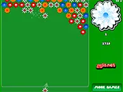 Flora Bubble Shooter free online game screenshot showing colorful flowers being aimed and matched