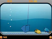 Screenshot of Aquarium Scoop Hotshot game showing a net attempting to catch colorful, fast-moving fish inside a blue aquarium