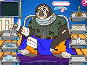 Play Sloth Fracture Surgery free online, a hospital doctor game where you treat a sloth's broken bones and car accident injuries.