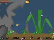 Special Fishy game screenshot showing a small orange fish swimming in an ocean filled with smaller blue fish and larger green fish.