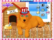 Play Labrador Puppy Dressup free online, dressing up the cutest Labrador puppy in funny clothes and accessories