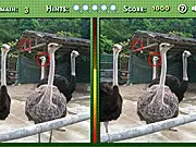 Free online puzzle game screenshot of Spot the Difference 2 showing two near-identical pictures with a magnifying glass