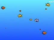 Play Fat Fish online free survival arcade game where you eat to grow