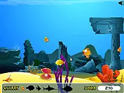 Insane Aquarium game – grow your goldfish and avoid predators