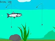 Play Salmon Survival free online arcade game, avoiding dangers like hooks and rocks while swimming upstream