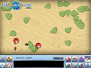 FWG Evolution Free Online Beetle Simulation Game, Breed and Race Bugs, PlayArcadeHub