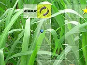 Free online skill game Fly Ball Maze, guiding a ball through a narrow floating platform course