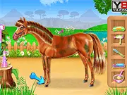 Screenshot of the Horse Care and Riding game showing a player grooming a brown stallion before a ride