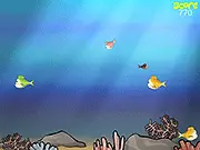 Seafood free online game screenshot, a small blue fish chasing a group of smaller yellow fish in a colorful ocean environment on PlayArcadeHub