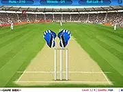 Cricket Wicket free online game, catch the ball sports game, play free cricket reflex game on PlayArcadeHub