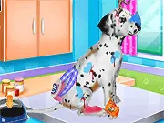 Dalmatian Puppy Day Care free online pet care and dress-up game