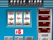 Screenshot of the Texas Slots free online slot machine game with reels spinning and betting buttons.