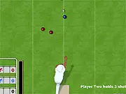 Flash Bowls free online Lawn Bowling game playing for the best of 7 ends