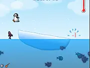 Eat Fish Pengui free online physics puzzle game featuring a baby penguin catching fish on PlayArcadeHub