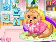 Play Princess Rescue Puppy free online game, virtual pet care simulation, help princess save wounded puppy, animal rescue game