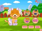 Pet Stars: Charming Boo free online pet caring and dress up game on PlayArcadeHub
