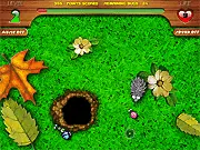 Hungry Hedgehog game screenshot showing a hedgehog character eating a bug