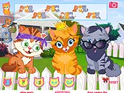 Screenshot of Alley Cat Choir Dress Up game featuring three adorable kittens being styled with chic clothes and accessories, a free online pet fashion game on PlayArcadeHub.