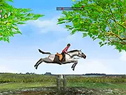 Horse Jumping game online free, equestrian sport game, horse care washing game, jumping over fences with a horse