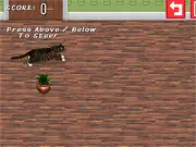 Screenshot of Catbox Bowling game showing a cat being launched toward a stack of high-point score boxes in a physics puzzle.