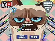 Grumpy Cat Dental Care free online game screen showing the famous cat with an open mouth and various dentist tools.